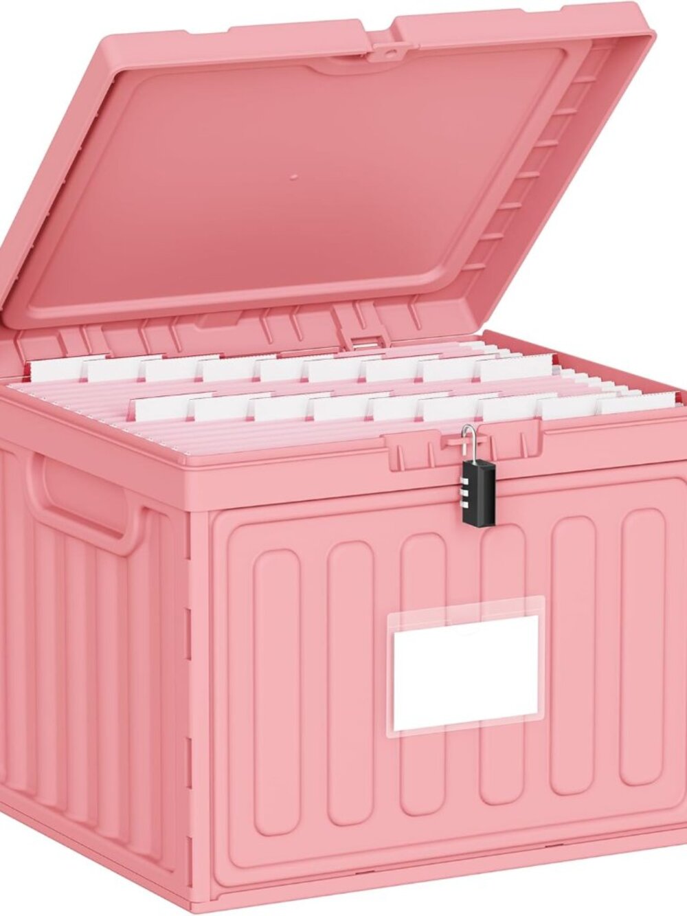 Plastic File Box with Lid for Letter Size Hanging File Folders, Hanging File Fol
